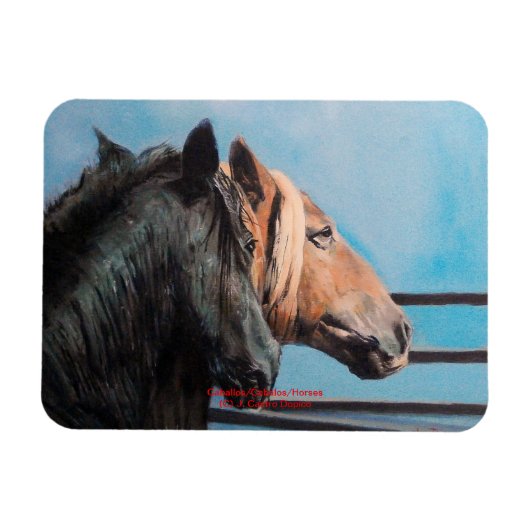 Caballos/Cabalos/Horses Magneet (Horizontaal)