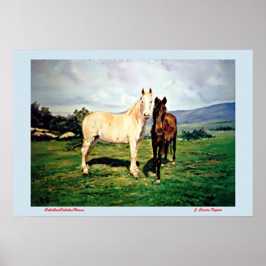Caballos/Cabalos/Horses Poster (Voorkant)