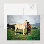 Caballos/Cabalos/Paarden Briefkaart (Voorkant / Achterkant)