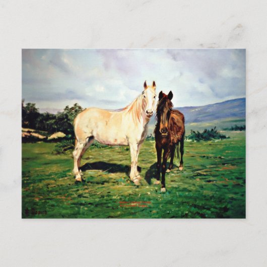 Caballos/Cabalos/Paarden Briefkaart (Voorkant)