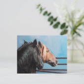Caballos/Cabalos/Paarden Briefkaart (Staand voorkant)