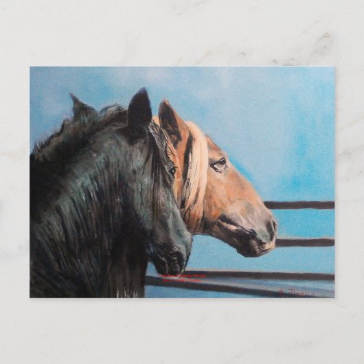 Caballos/Cabalos/Paarden Briefkaart (Voorkant)