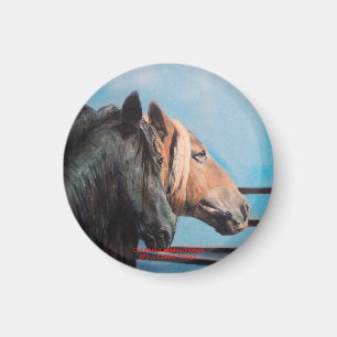 Caballos/Cabalos/Paarden Magneet