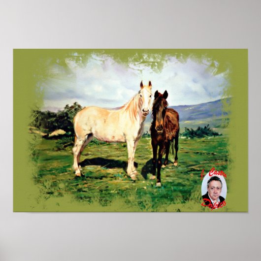 Caballos/Cabalos/Paarden Poster (Voorkant)