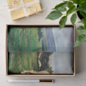 Caballos/Cabalos/Paarden Tissuepapier (Geschenk)