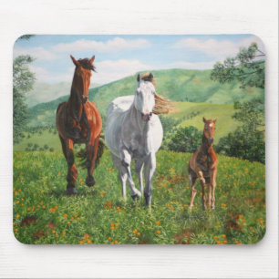 caballos muismat