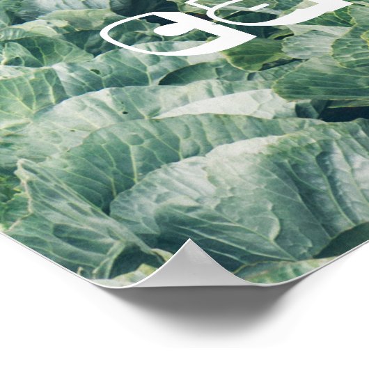 Cabbage Field: groen&paars Poster (Hoek)