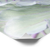 Cabbage foto afdrukken (Hoek)