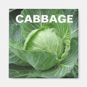 Cabbage Head Square Magnet