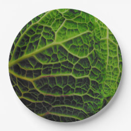 CABBAGE PAPIEREN BORDJE