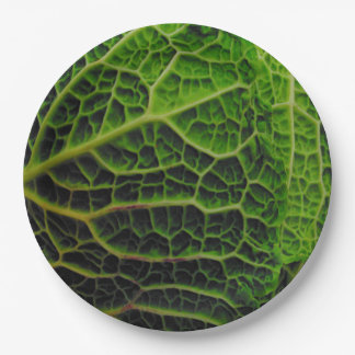 CABBAGE PAPIEREN BORDJE