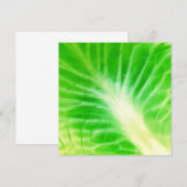 Cabbout Leaf (Voorkant / Achterkant)