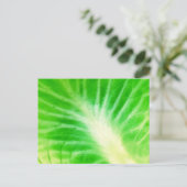 Cabbout Leaf Briefkaart (Staand voorkant)