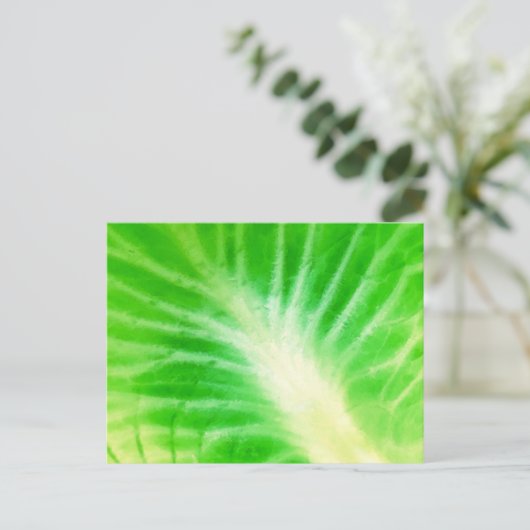 Cabbout Leaf Briefkaart (Staand voorkant)