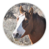 Cabellero Keramische Knop (Voorkant)