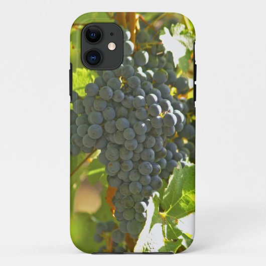 Cabernet Sauvignon druiventros in de Chateau Case-Mate iPhone Case (Achterkant)
