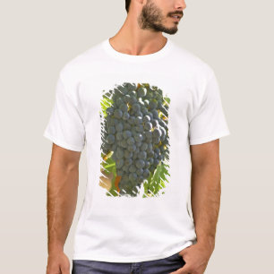 Cabernet Sauvignon druiventros in het Chateau T-shirt