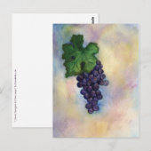 Cabernet Sauvignon Red Wine Grapes Briefkaart (Voorkant / Achterkant)