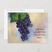 Cabernet Sauvignon Red Wine Grapes Briefkaart (Voorkant / Achterkant)