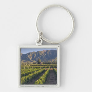 Cabernet Sauvignon wijnstokken in Huailai Rongchen Sleutelhanger