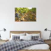 Cabernet Sauvignon wijnt in een rij op rij Canvas Afdruk (Insitu (Slaapkamer))