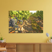 Cabernet Sauvignon wijnt in een rij op rij Canvas Afdruk (Insitu (Woonkamer))