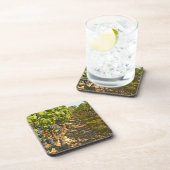 Cabernet Sauvignon wijnt in een rij op rij Drankjes Onderzetter (Rechterzijde)