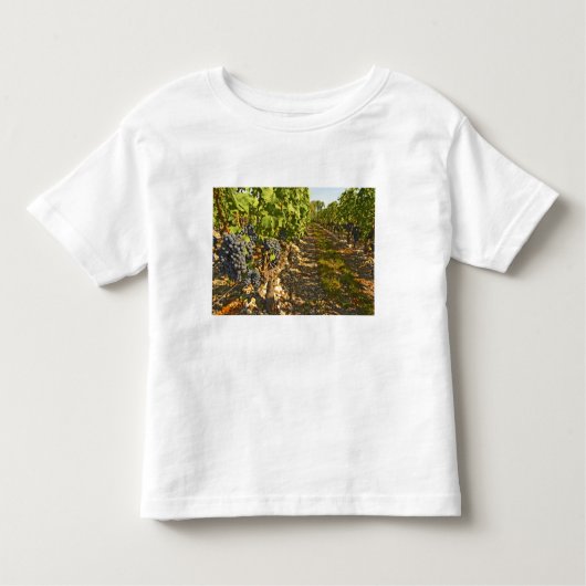 Cabernet Sauvignon wijnt in een rij op rij Kinder Shirts (Voorkant)