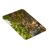 Cabernet Sauvignon wijnt in een rij op rij Magneet (Rechterzijde)