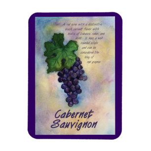 Cabernet Sauvignon Wine Grapes Painting Art Magnet Magneet
