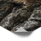 Cabin de Noorse Lofoten-eilanden Poster (Hoek)