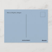 Cabin Houghton Michigan Briefkaart (Achterkant)