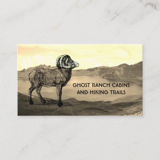 Cabin of Bed and Breakfast Verhuur Visitekaartjes (Voorkant)