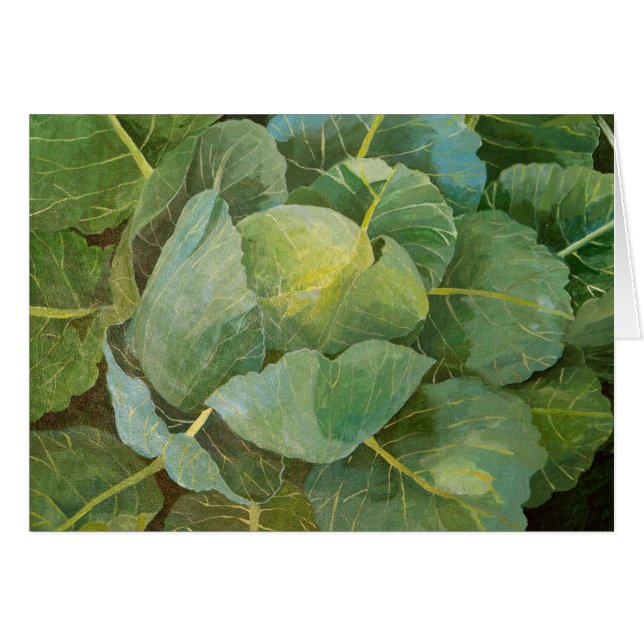 Cabine (Voorkant Horizontaal)