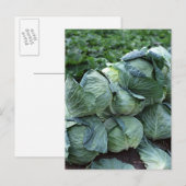 Cabine Briefkaart (Voorkant / Achterkant)