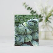 Cabine Briefkaart (Staand voorkant)