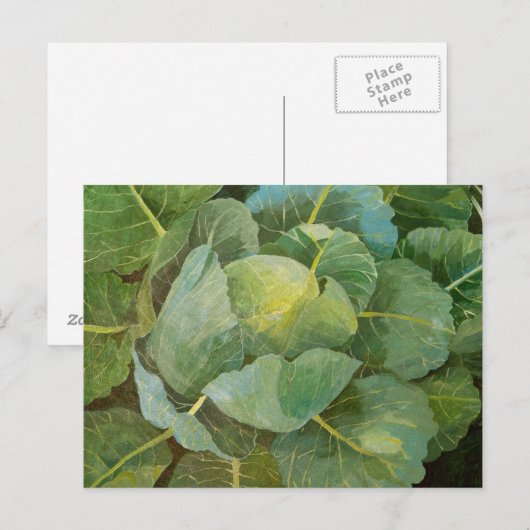 Cabine Briefkaart (Voorkant / Achterkant)