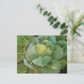 Cabine Briefkaart (Staand voorkant)