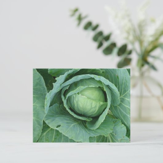 Cabine Briefkaart (Staand voorkant)