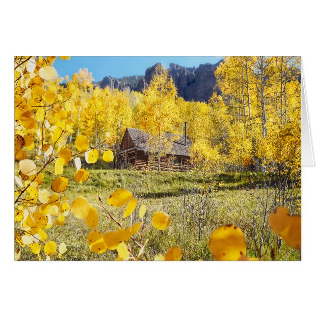 Cabine in Aspens (Voorkant Horizontaal)