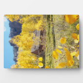 Cabine in Aspens Fotoplaat (voorkant)