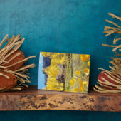 Cabine in Aspens Fotoplaat (Zijkant)