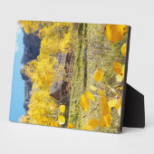 Cabine in Aspens Fotoplaat (Zijkant)