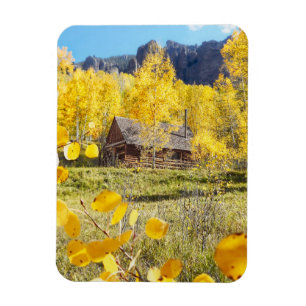 Cabine in Aspens Magneet