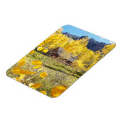 Cabine in Aspens Magneet (Linkerzijde)