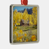Cabine in Aspens Metalen Ornament (Rechts)
