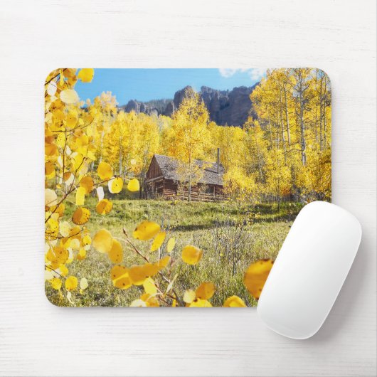 Cabine in Aspens Muismat (Met muis)