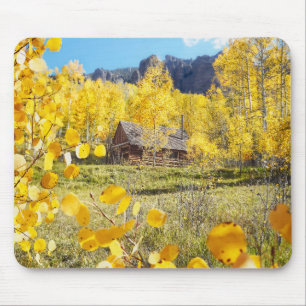 Cabine in Aspens Muismat