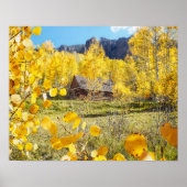 Cabine in Aspens Poster (Voorkant)