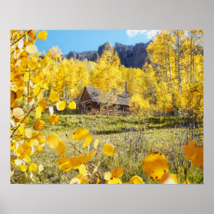 Cabine in Aspens Poster